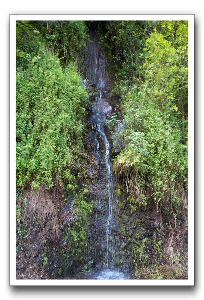 Hana-Highway-Waianapanapa-State-Park-317