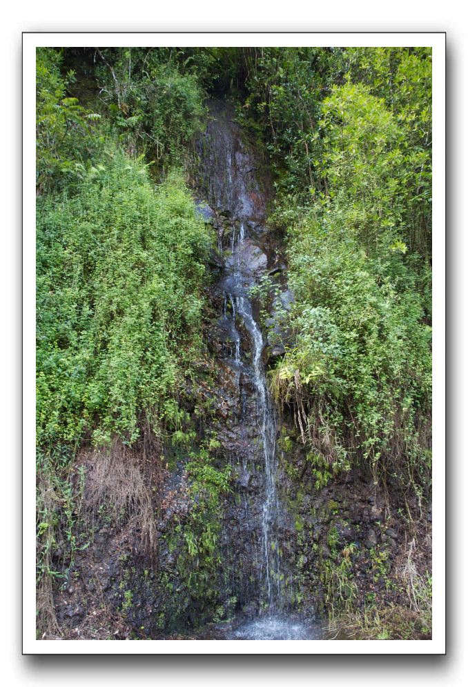 Hana-Highway-Waianapanapa-State-Park-321