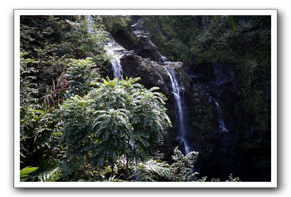 Hana-Highway-Waianapanapa-State-Park-332