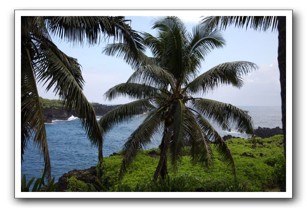 Hana-Highway-Waianapanapa-State-Park-114