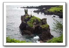 Hana-Highway-Waianapanapa-State-Park-176