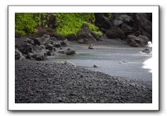 Hana-Highway-Waianapanapa-State-Park-215