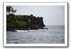 Hana-Highway-Waianapanapa-State-Park-240