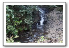 Hana-Highway-Waianapanapa-State-Park-023