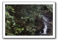 Hana-Highway-Waianapanapa-State-Park-024