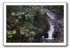 Hana-Highway-Waianapanapa-State-Park-025