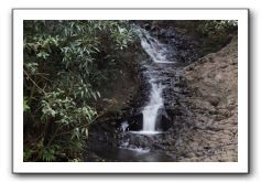 Hana-Highway-Waianapanapa-State-Park-026