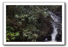 Hana-Highway-Waianapanapa-State-Park-027