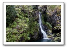 Hana-Highway-Waianapanapa-State-Park-301