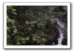 Hana-Highway-Waianapanapa-State-Park-028