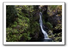 Hana-Highway-Waianapanapa-State-Park-302