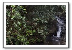 Hana-Highway-Waianapanapa-State-Park-030