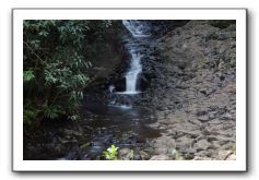 Hana-Highway-Waianapanapa-State-Park-031