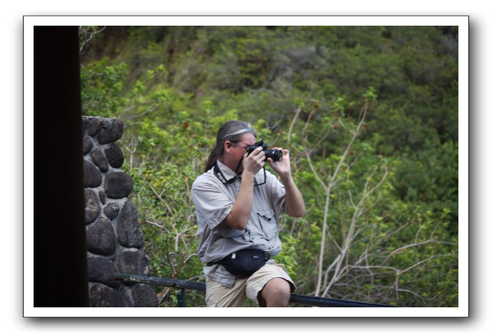 Iao-Needle-Iao-Valley-State-Park-Maui-065