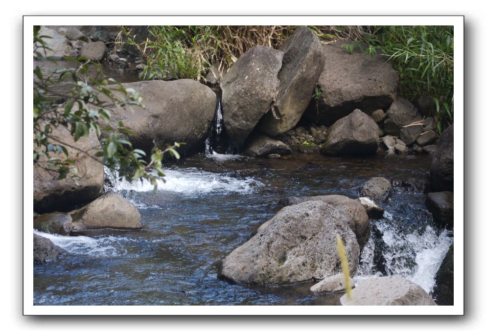 Iao-Needle-Iao-Valley-State-Park-Maui-106