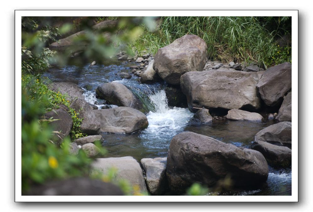 Iao-Needle-Iao-Valley-State-Park-Maui-107