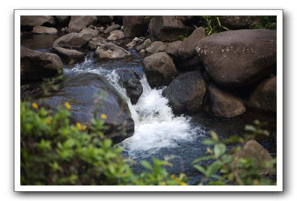 Iao-Needle-Iao-Valley-State-Park-Maui-109