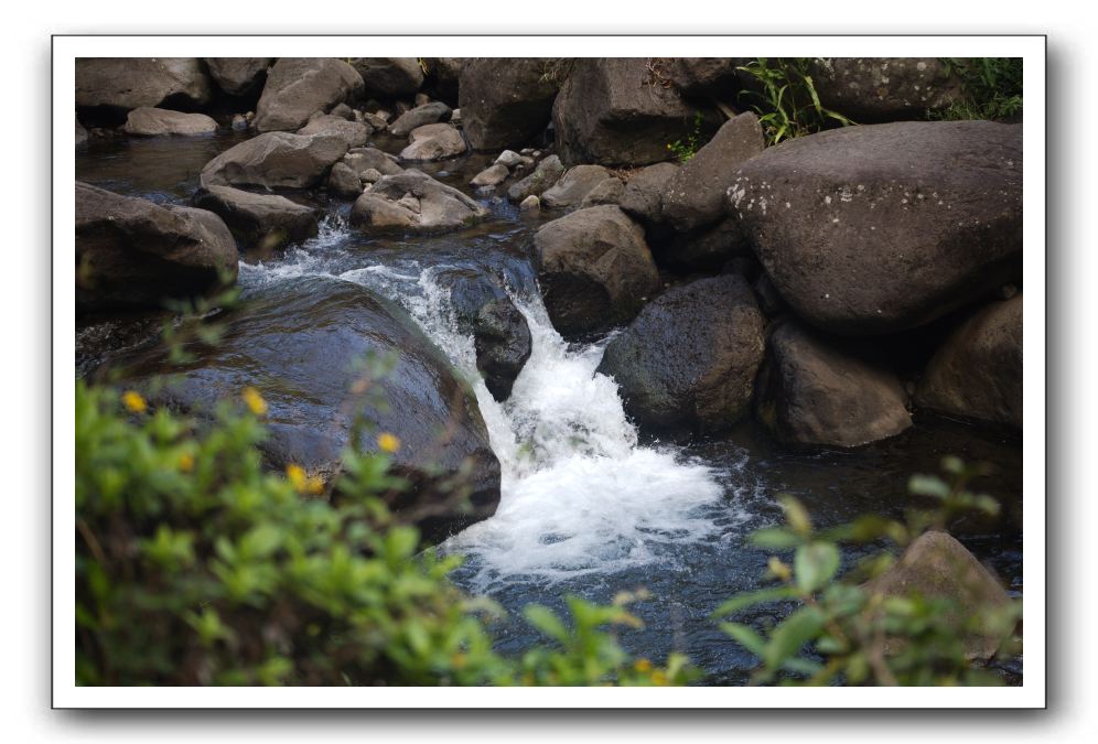 Iao-Needle-Iao-Valley-State-Park-Maui-110