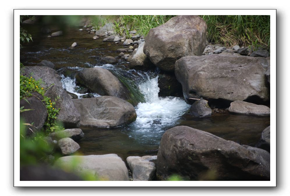 Iao-Needle-Iao-Valley-State-Park-Maui-111