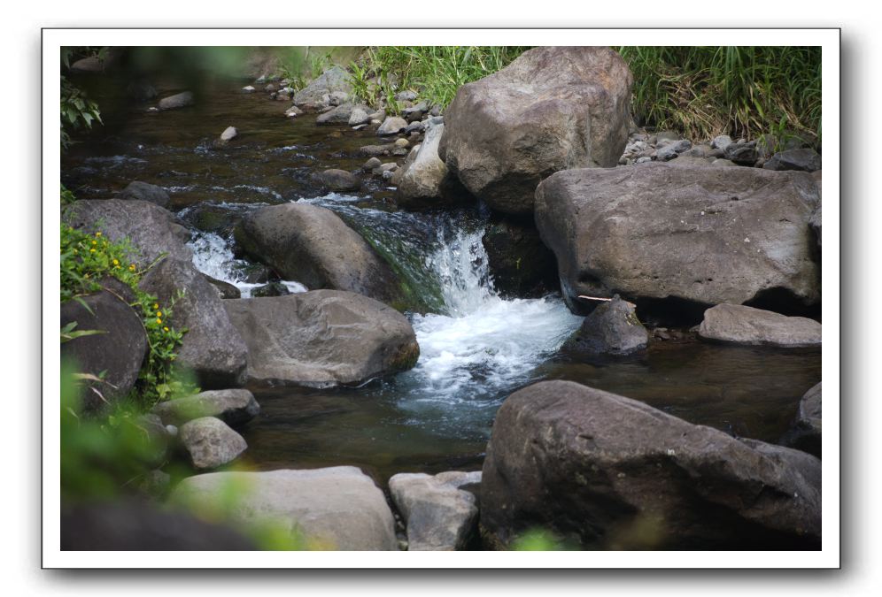 Iao-Needle-Iao-Valley-State-Park-Maui-112