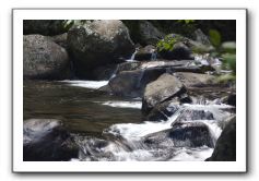 Iao-Needle-Iao-Valley-State-Park-Maui-100