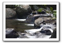 Iao-Needle-Iao-Valley-State-Park-Maui-101