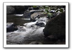 Iao-Needle-Iao-Valley-State-Park-Maui-102