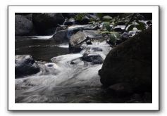 Iao-Needle-Iao-Valley-State-Park-Maui-103