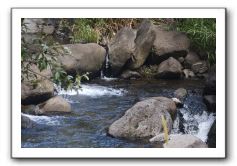 Iao-Needle-Iao-Valley-State-Park-Maui-106