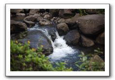 Iao-Needle-Iao-Valley-State-Park-Maui-108
