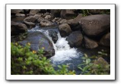Iao-Needle-Iao-Valley-State-Park-Maui-109