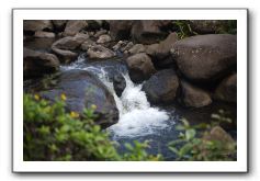 Iao-Needle-Iao-Valley-State-Park-Maui-110