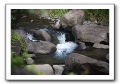 Iao-Needle-Iao-Valley-State-Park-Maui-111