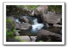 Iao-Needle-Iao-Valley-State-Park-Maui-112