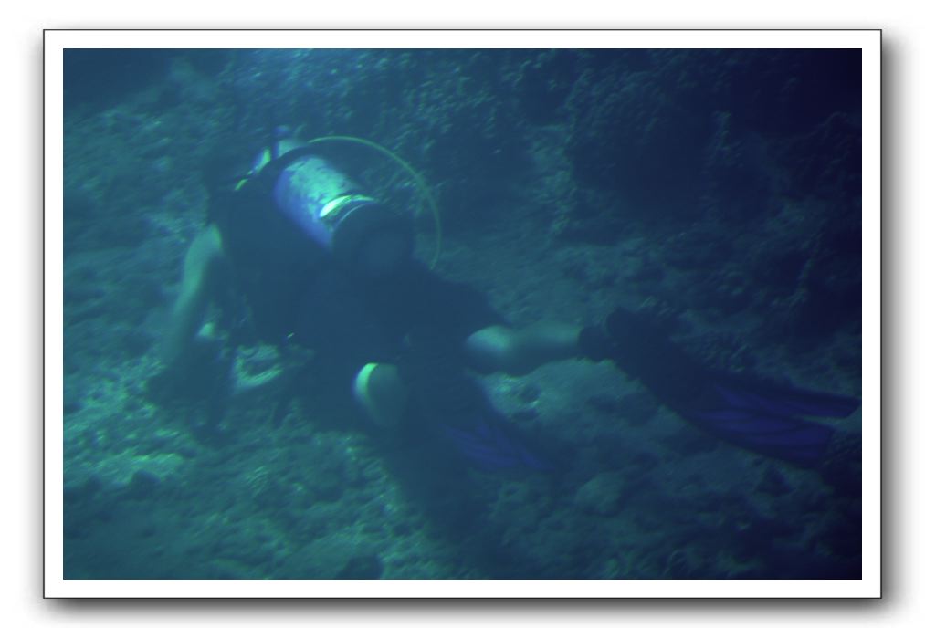 Maui-Reefdancer-106