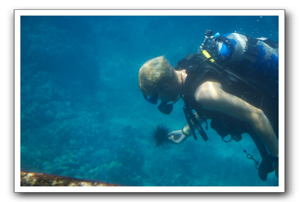 Maui-Reefdancer-117