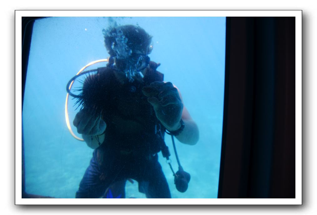 Maui-Reefdancer-121