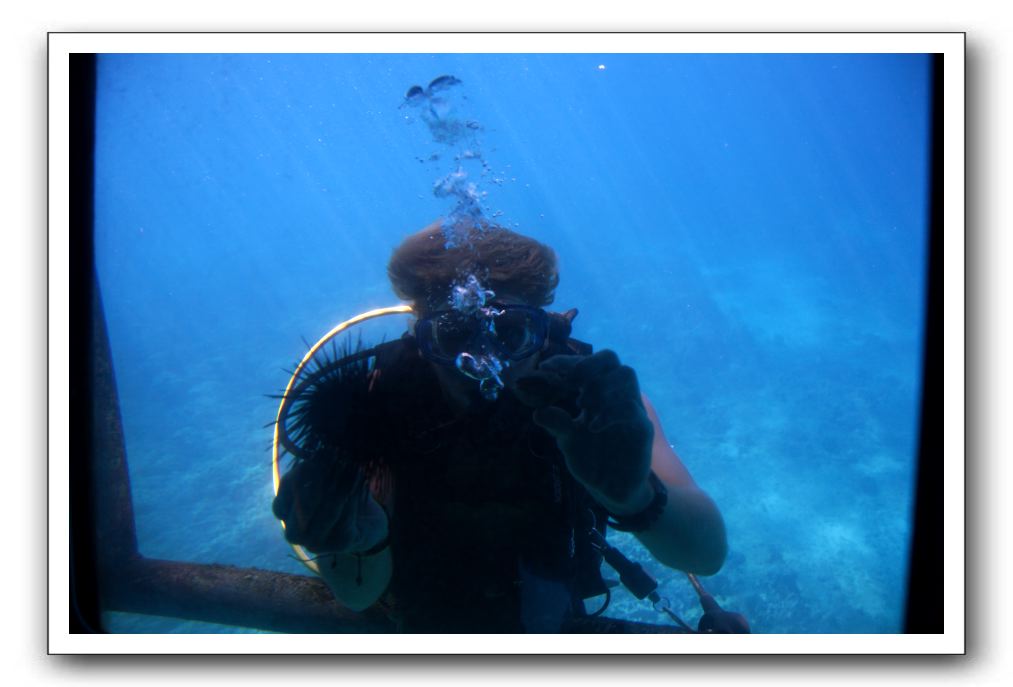 Maui-Reefdancer-123