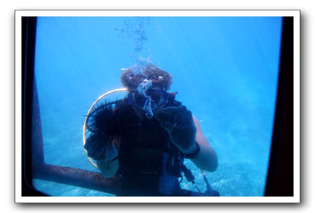 Maui-Reefdancer-124