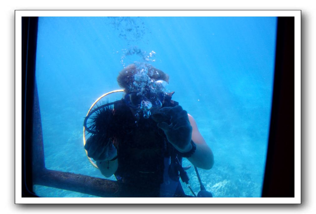 Maui-Reefdancer-125