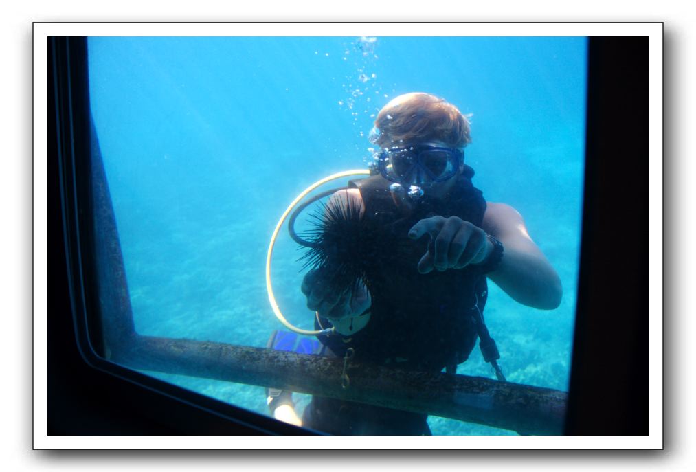 Maui-Reefdancer-126
