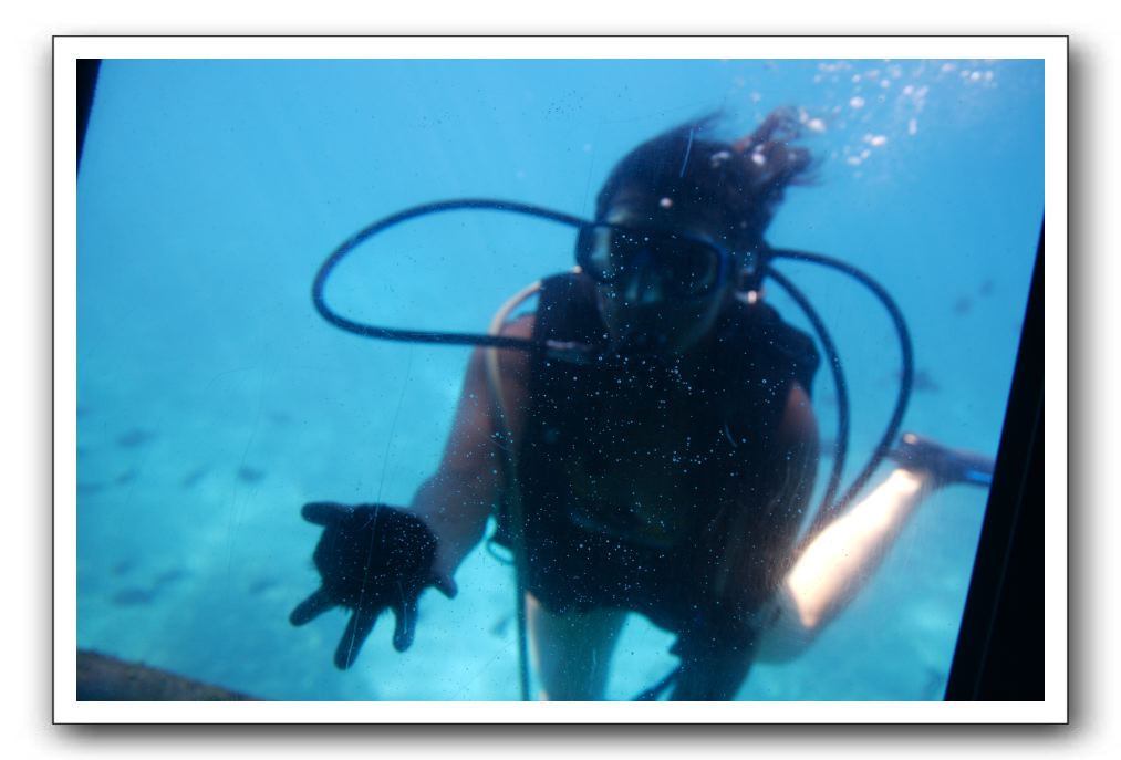 Maui-Reefdancer-148