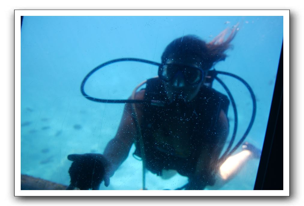 Maui-Reefdancer-150