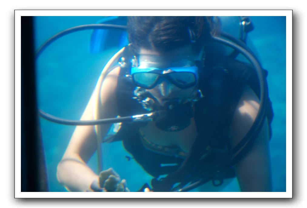 Maui-Reefdancer-202
