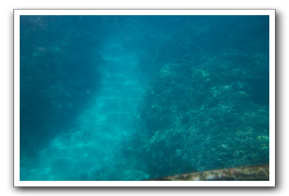 Maui-Reefdancer-267