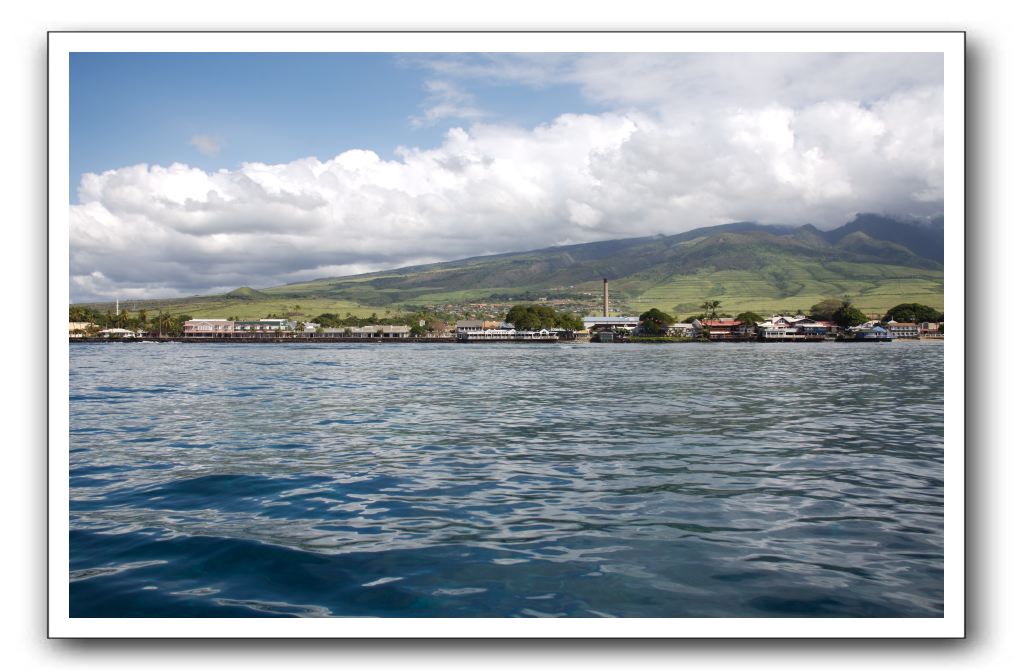 Maui-Reefdancer-268