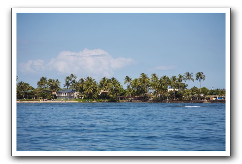 Maui-Reefdancer-269