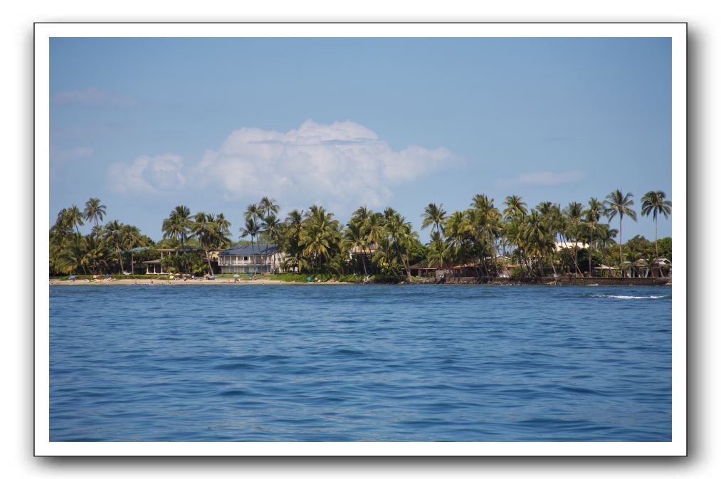 Maui-Reefdancer-270