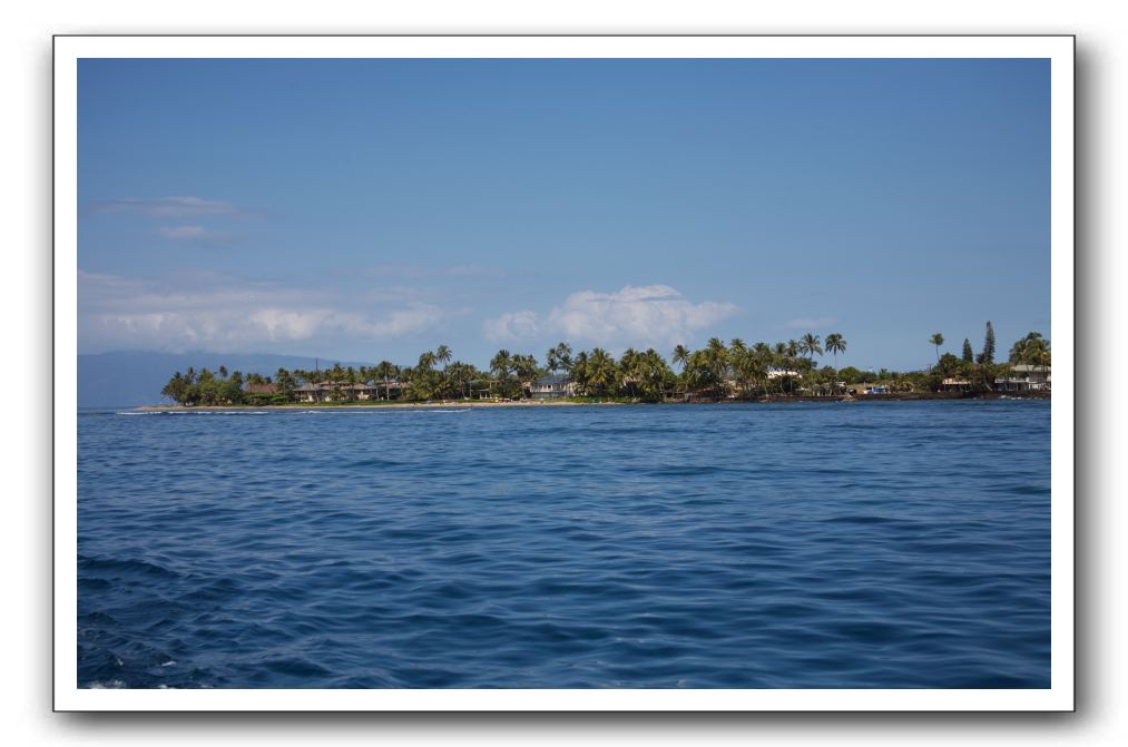 Maui-Reefdancer-272