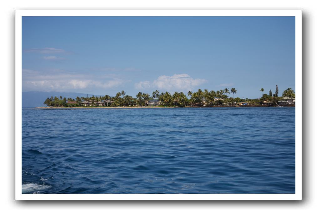 Maui-Reefdancer-273